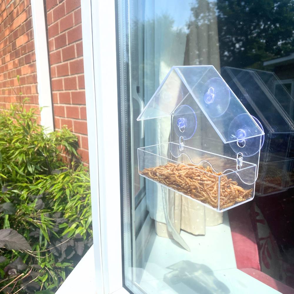 Window Bird Feeder